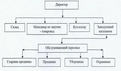 Краткая организационная характеристика предприятия
