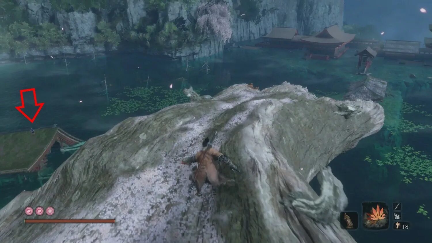 5 марадон. Как попасть в покои карпа. 3. Как попасть в покои карпа. Прудовые рыбки карп кой.