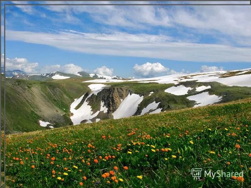 Республика алтай климат. Климат Алтайского края. Климат горного Алтая. Климат Алтайской Республики. Алтайские горы климат.