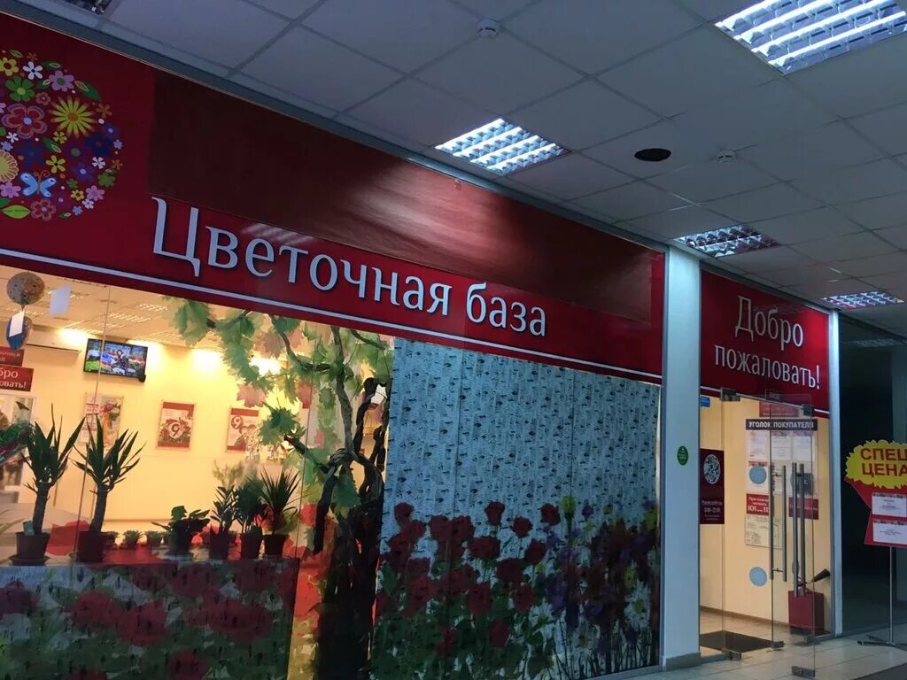 Цветочный магазин мытищи. Цветочный магазин на Ярославском шоссе. Lulu Flowers, Мытищи. Цветы Мытищи. Магазин цветов на Коммунистическом.