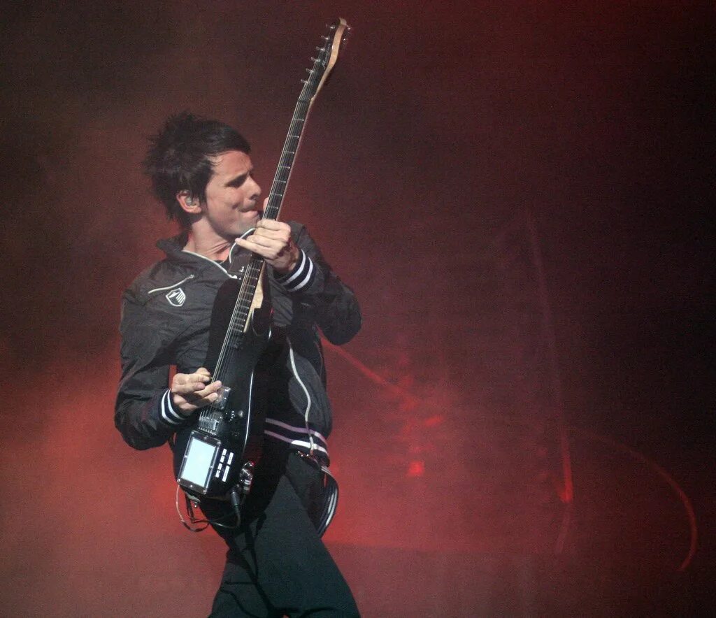 Muse muscle