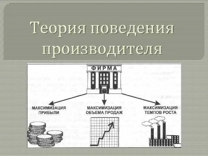 Общая теория поведения. Теория поведения производителя. Теория рационального поведения производителя. Модель поведения производителя. Моделирование поведения производителей.