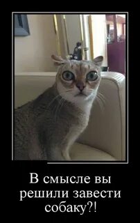 Не надо трогать
