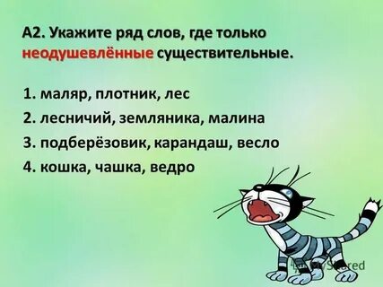 Кошка неодушевленное