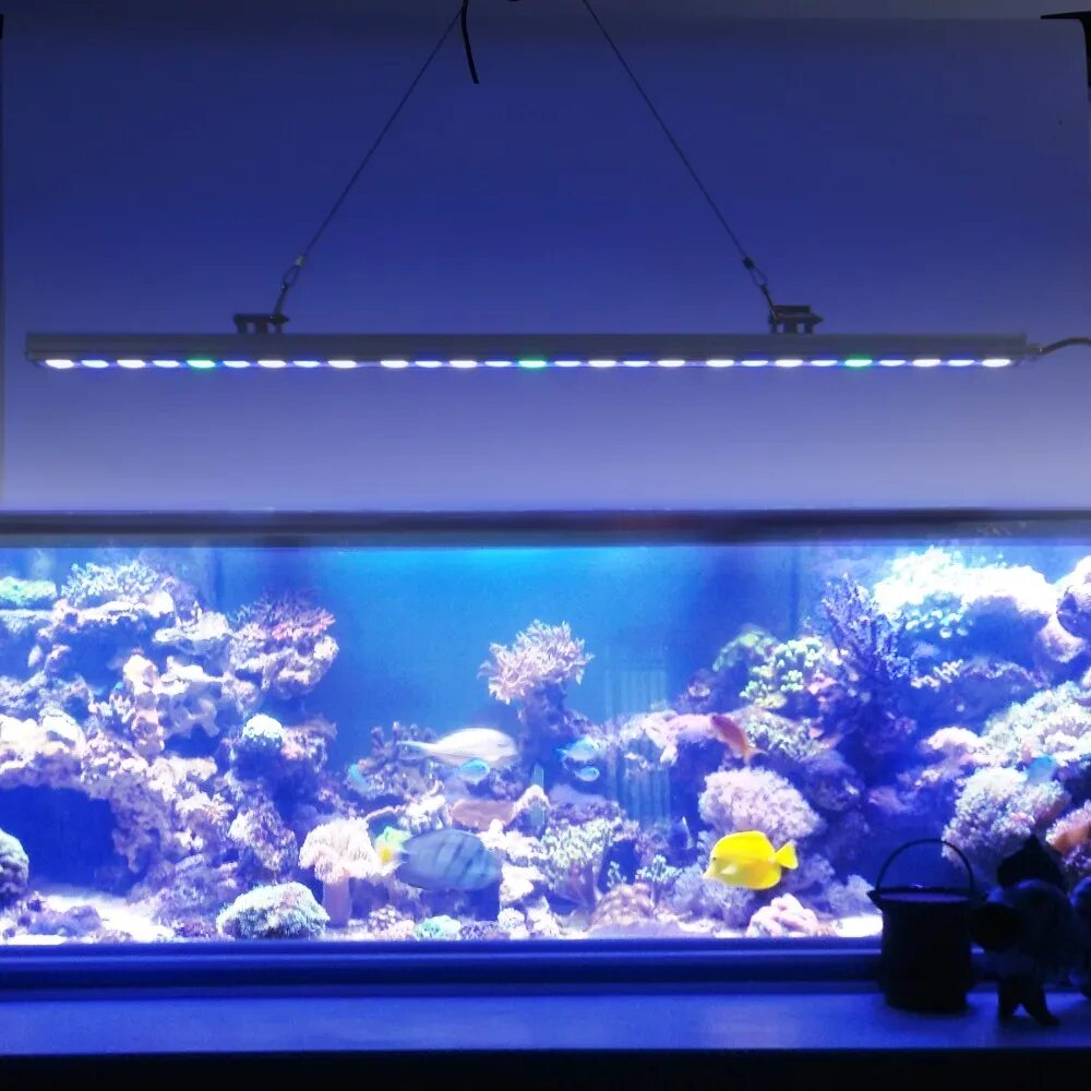 Прожектор для аквариума. Светодиодный светильник als 800 для аквариума. Led Aqua Blue светодиоды. Аквариум декоративный с подсветкой. Аквариум п.