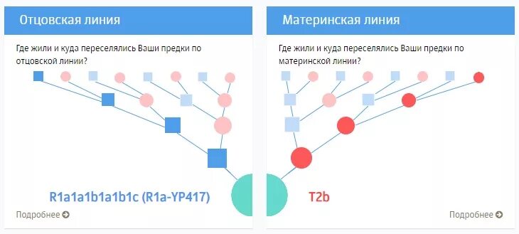 Тест на родословную по днк. Днк тест на национальность. Тест на родословную по днк. Днк тестирование. Днк тест на национальность.