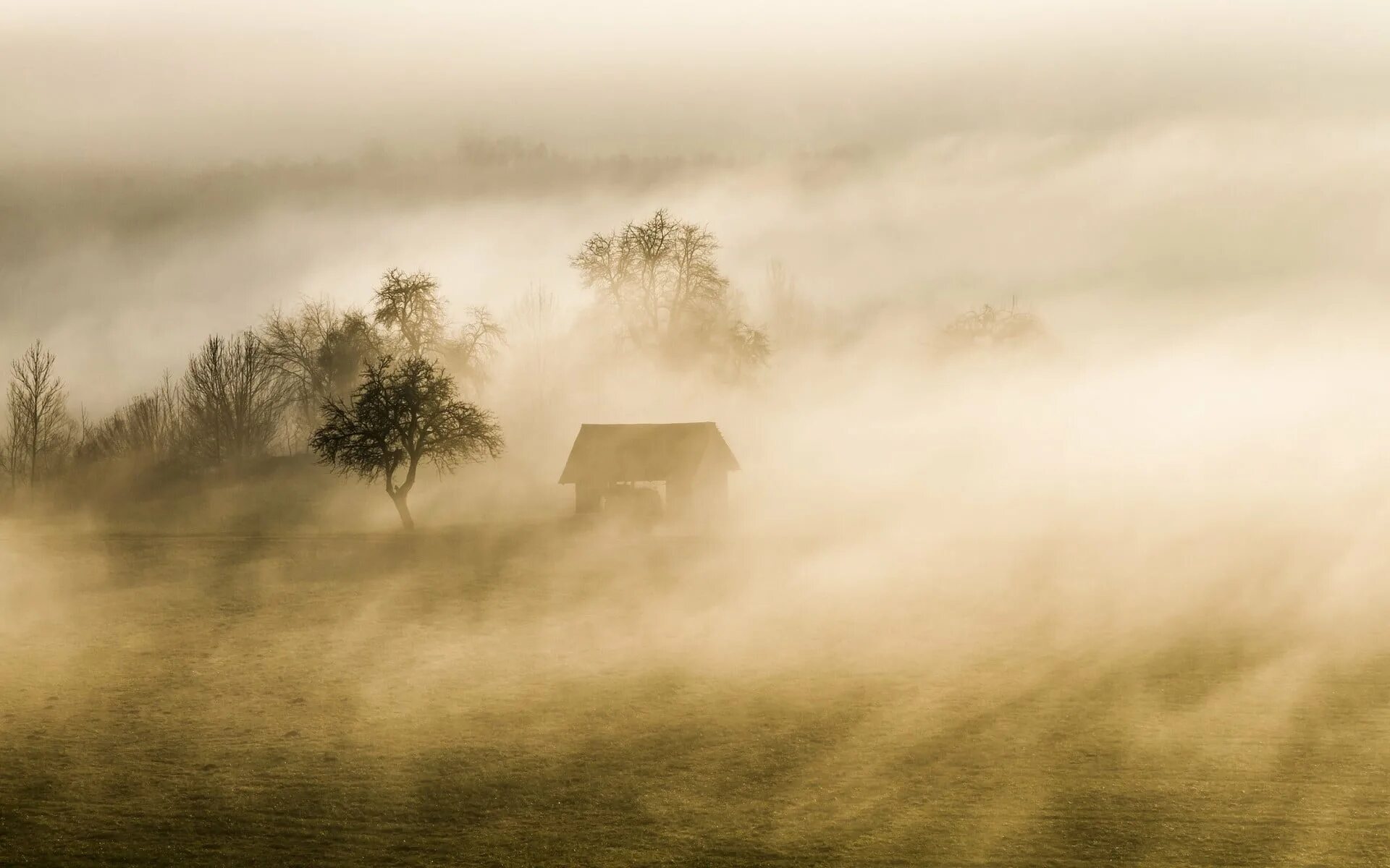 Густой туман тип предложения. Деревня в тумане. Густой туман. Пейзаж туман и домики. Мгла природа.