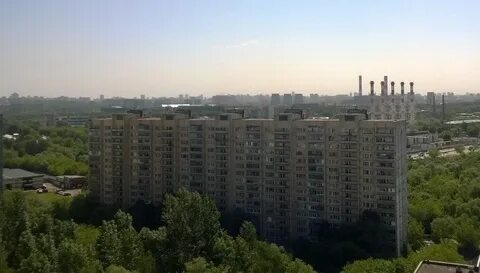 Москва рябиновая 1