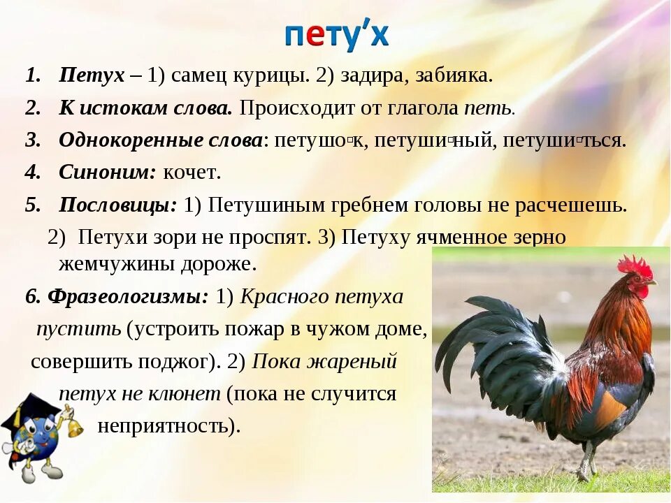Петушок ли