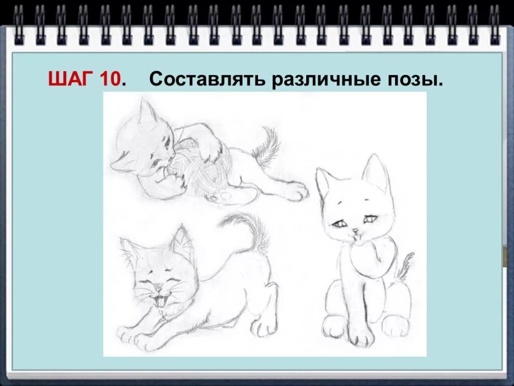 Изобразить характер животного. Позы котов для рисования. Изображение характера животных. Пропорции кота для рисования. Рисунок кота 2 класс.