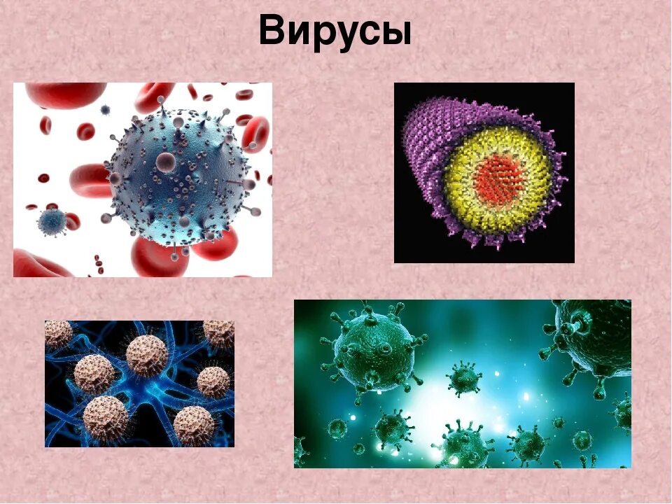 Бактерии и вирусы 5 класс биология презентация. Вирусы презентация. Вирусы по биологии 5 класс. Биология тема вирусы. Вирусы слайд.