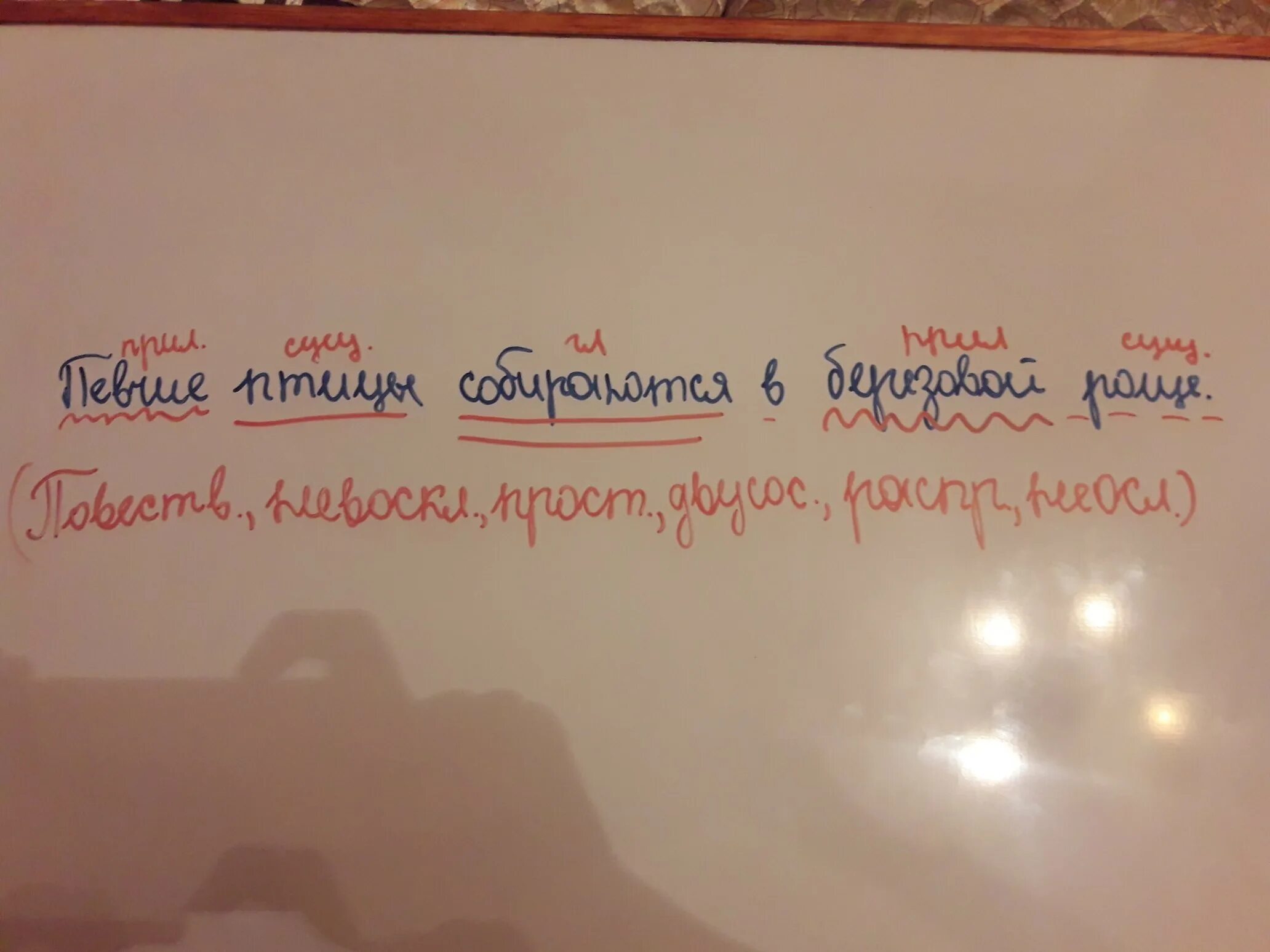 Синтаксический разбор птицы. Синтаксический разбор предложения в берёзовых РО. Певчие птицы собираются в берёзовой роще синтаксический разбор. Птица синтаксический разбор. Синтаксический анализ предложения певчий.