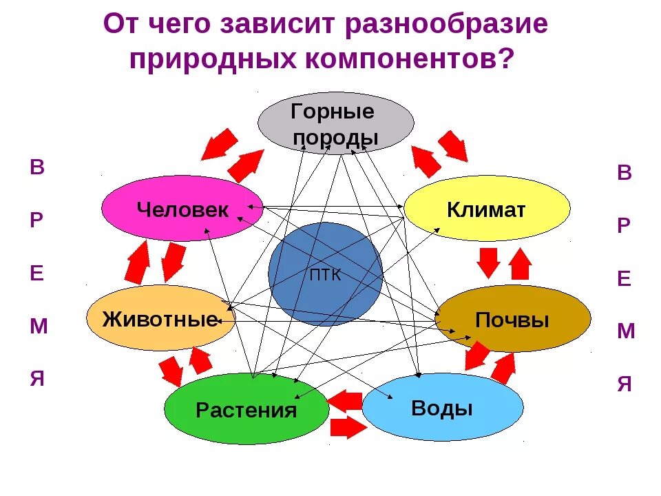 ПТК. Природный территориальный комплекс. Природно-территориальный комплекс презентация. Что такое ПТК В географии. Перечислите природно территориальные компоненты