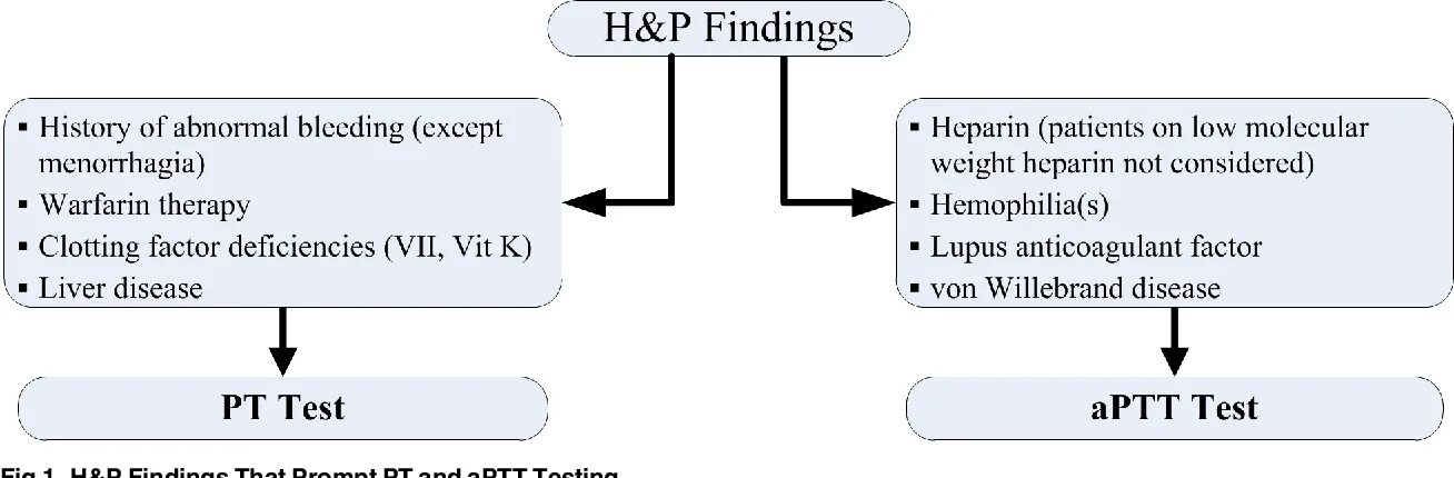 Patient comparative. Pt and PTT. Pt PTT расшифровка. Pt and PTT which Factor. Partial thromboplastin time (PTT) фото.