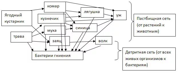 Составьте схему показывающую состав Методическая разработка для подготовки к ЕГЭ по биологии по теме "Химический сос