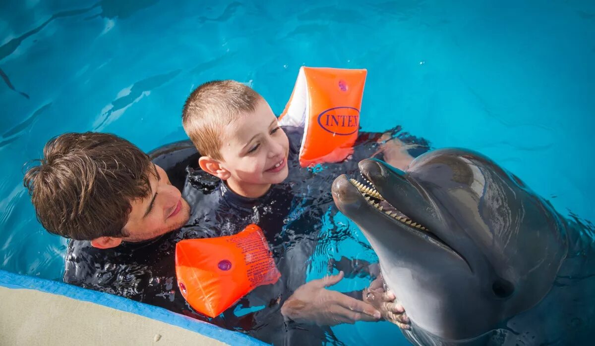 Дельфины с удовольствием разучивают. Натансон и дельфинотерапия \. Дельфинотерапия для детей с ДЦП. Дэвид Натансон дельфинотерапия. Дельфинотерапия для детей с аутизмом.