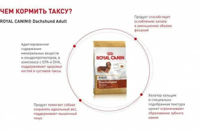 Как кормить щенка таксы. Корм для такс. рацион питания для таксы. натуральный рацион для собак мелких пород. чем нельзя кормить таксу.