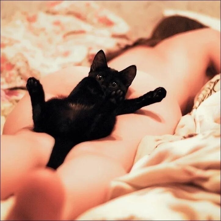 Девушка с котом на руках и голой киской между ног фото
