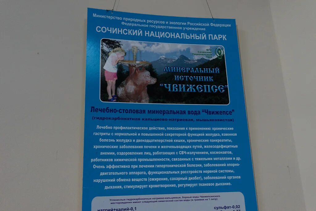 Вода чвижепсе. Чвижепсе минеральная вода. минеральный источник чвижепсе. источник чвижепсе в сочи.