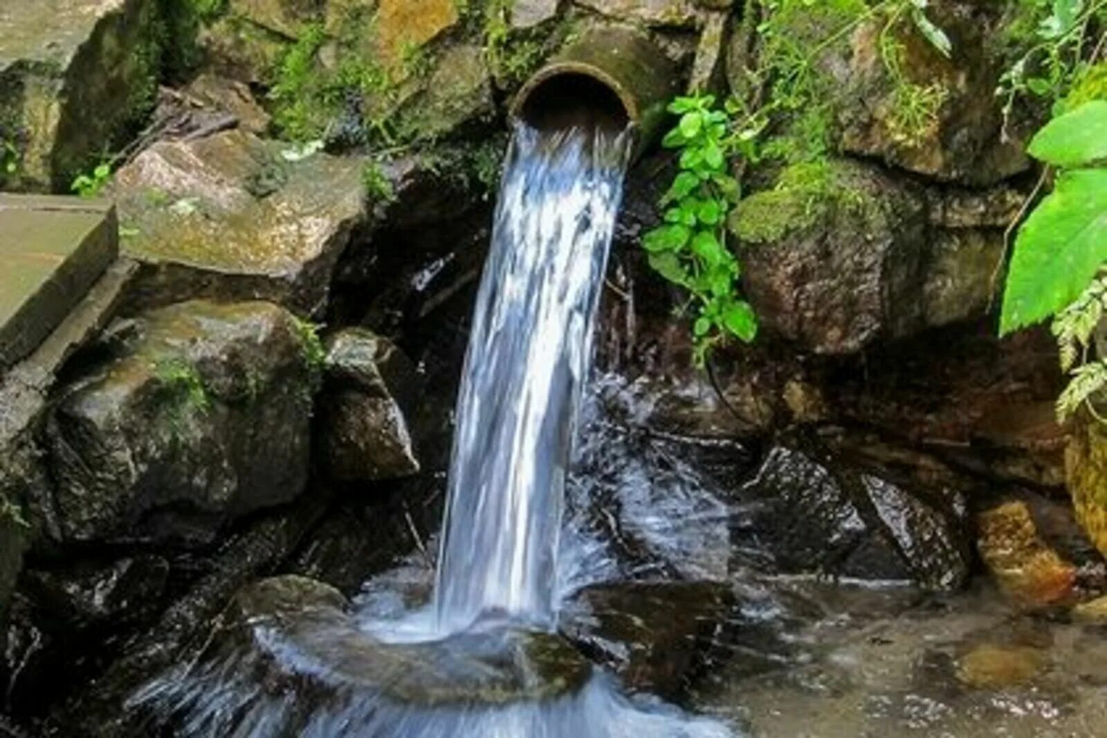 Водный родник