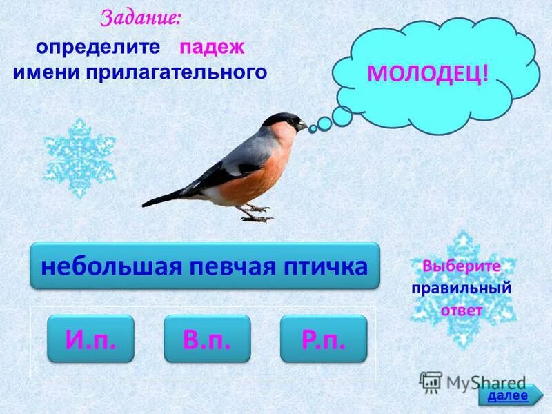 Птицы какое лицо. Птиц какой падеж. Птицы существительные. Имена существительные название птиц.