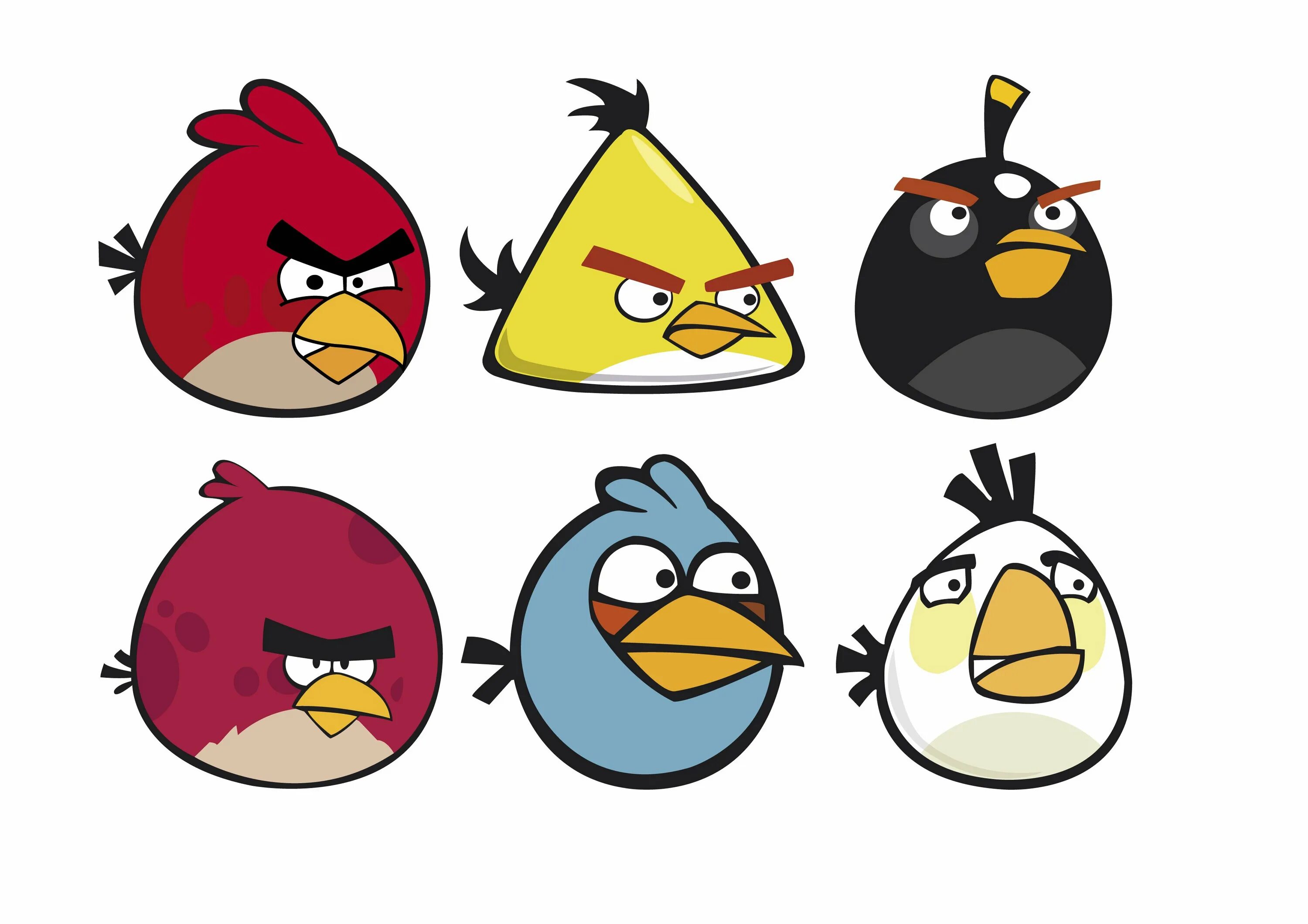 Angry birds новая. Энгри бердз персонажи. Герои Энгри бердз имена. Имена птичек Энгри Бердс. Энг Ри Берд птицы способности.