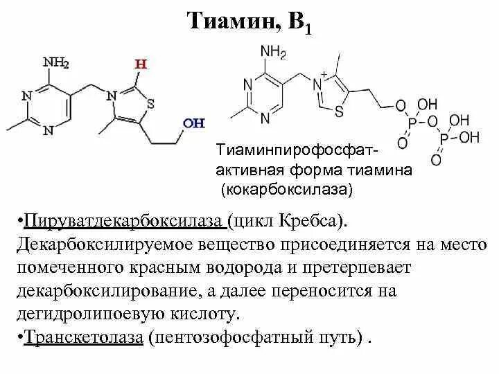 Тиамин в тиаминпирофосфат. Витамин в1 тиамин формула. B1 тиамин формула. Тиаминпирофосфат фермент.