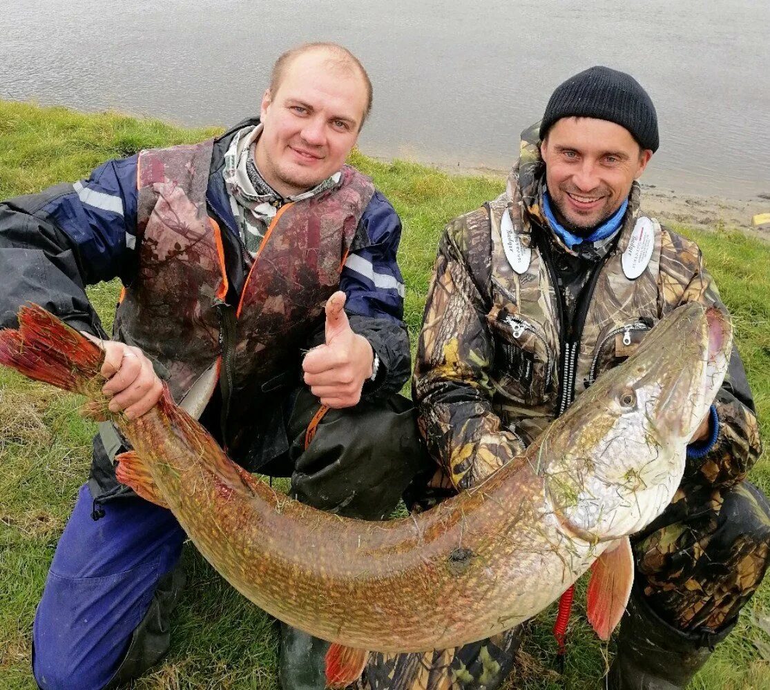 Где улов