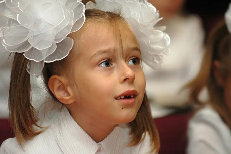 Первоклашки. Первоклашка года. Первоклашка года. Первоклашка года. Первоклашка года.