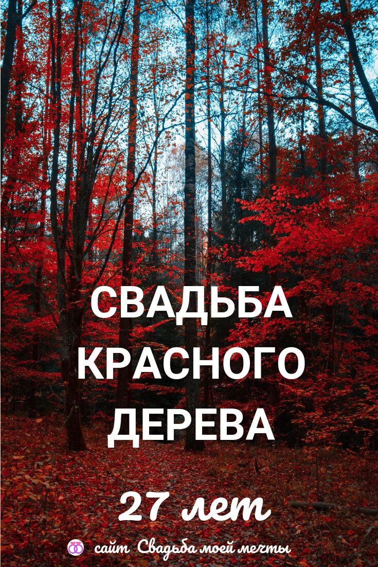 Поздравление с годовщиной свадьбы 27 лет. 27 лет какая свадьба. Свадьба красного дерева поздравления. Годовщина красного дерева. С юбилеем свадьбы 27 лет.