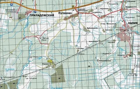Погода спб назия