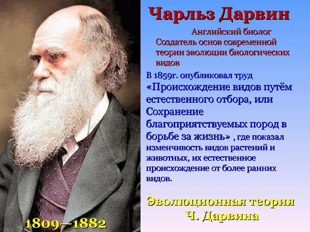 Гипотеза дарвина. Учение Чарльза Дарвина. Дарвин основоположник учения.