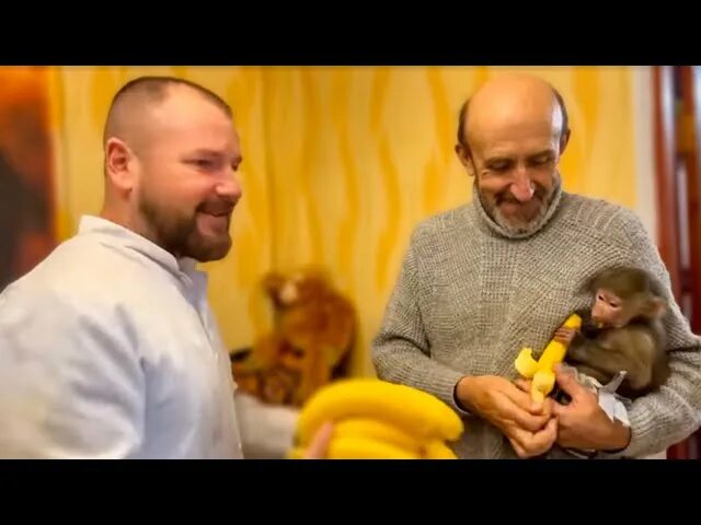 Гамадрил люська и компания блог на ютубе. Люська гамадрил тайган. семья алексагиных из тайгана. степка тайган гамадрил.