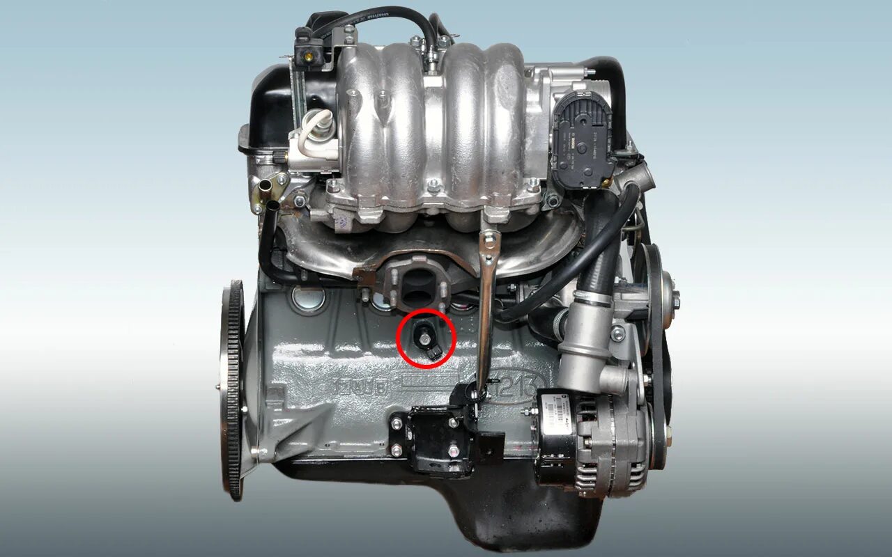 Двигатель шнивы. Датчик детонации Нива 21214. Мотор Шевроле Нива 21214. Двигатель ВАЗ-21214 инжекторный. Двигатель Нива 21214 инжектор.