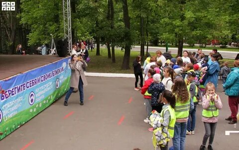 Лакреевский лес чебоксары фото