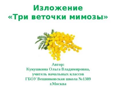Три ветки мимозы