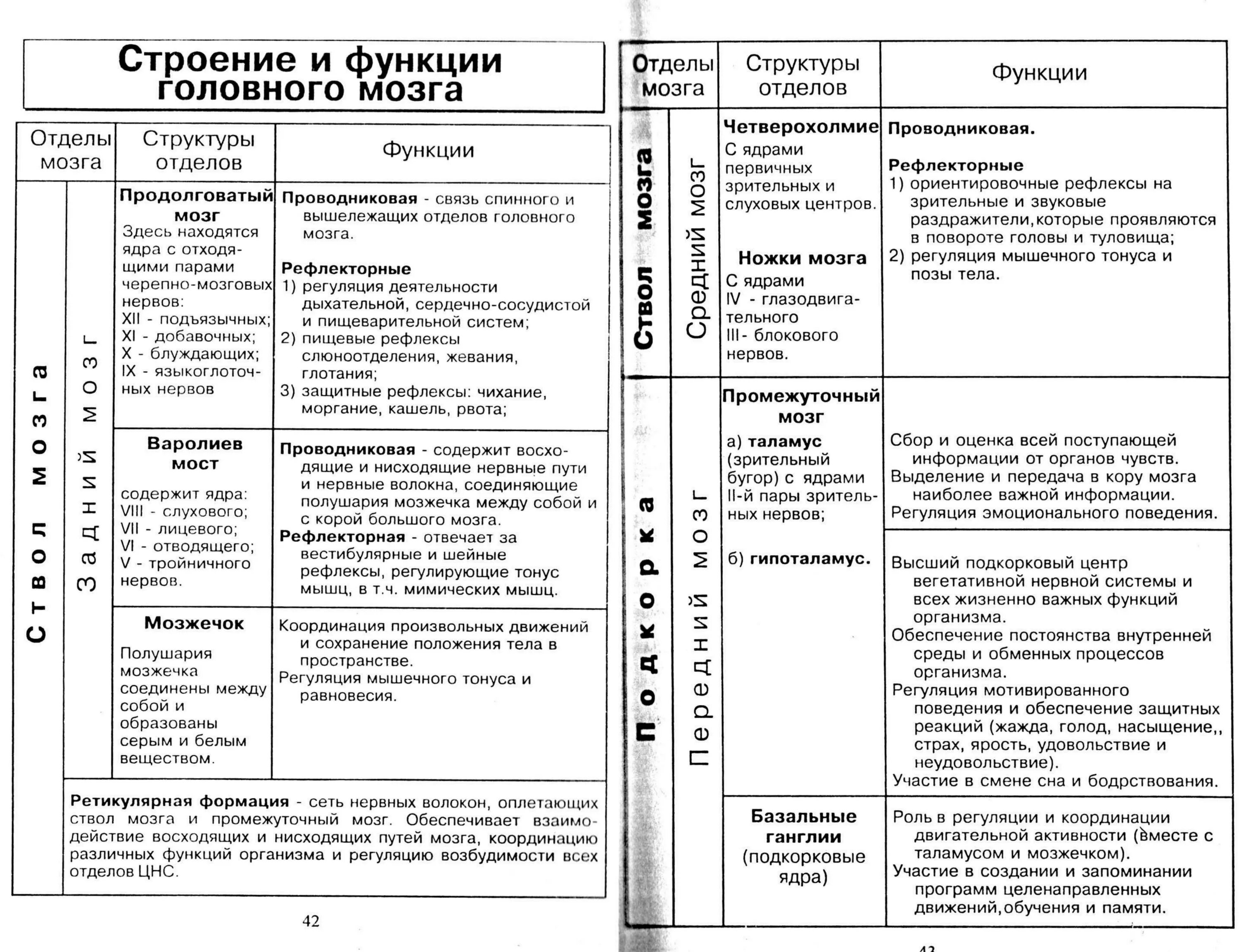 Таблица строение и функции отделов головного мозга. Отделы головного мозга и их функции таблица анатомия. Строение и функции головного мозга таблица. Спинной мозг таблица отдел строение функции. Отдел мозга строение функции таблица.