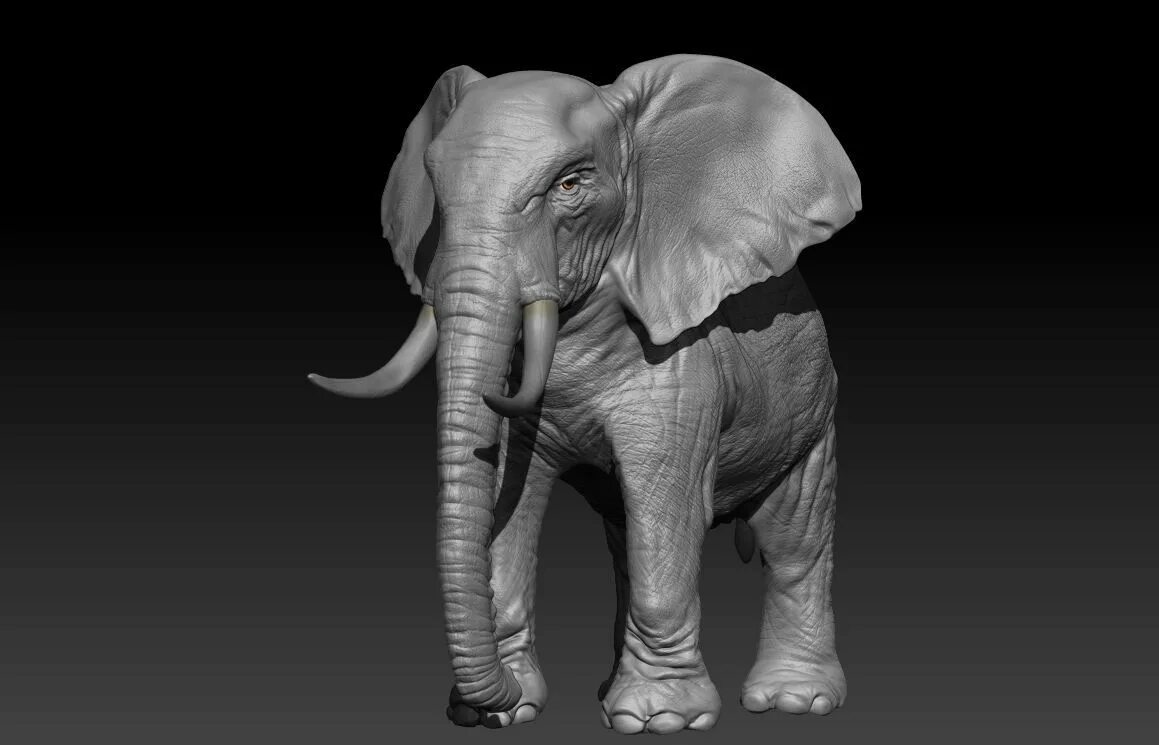 Мод на слоник. Д3 Анимал. 3д моделирование животных. Слон 3д модель. 3д модели животные.