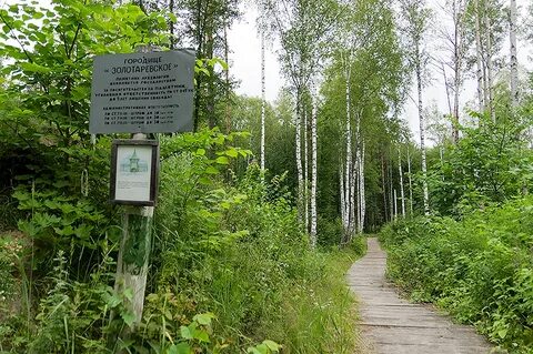 Городище номер телефона