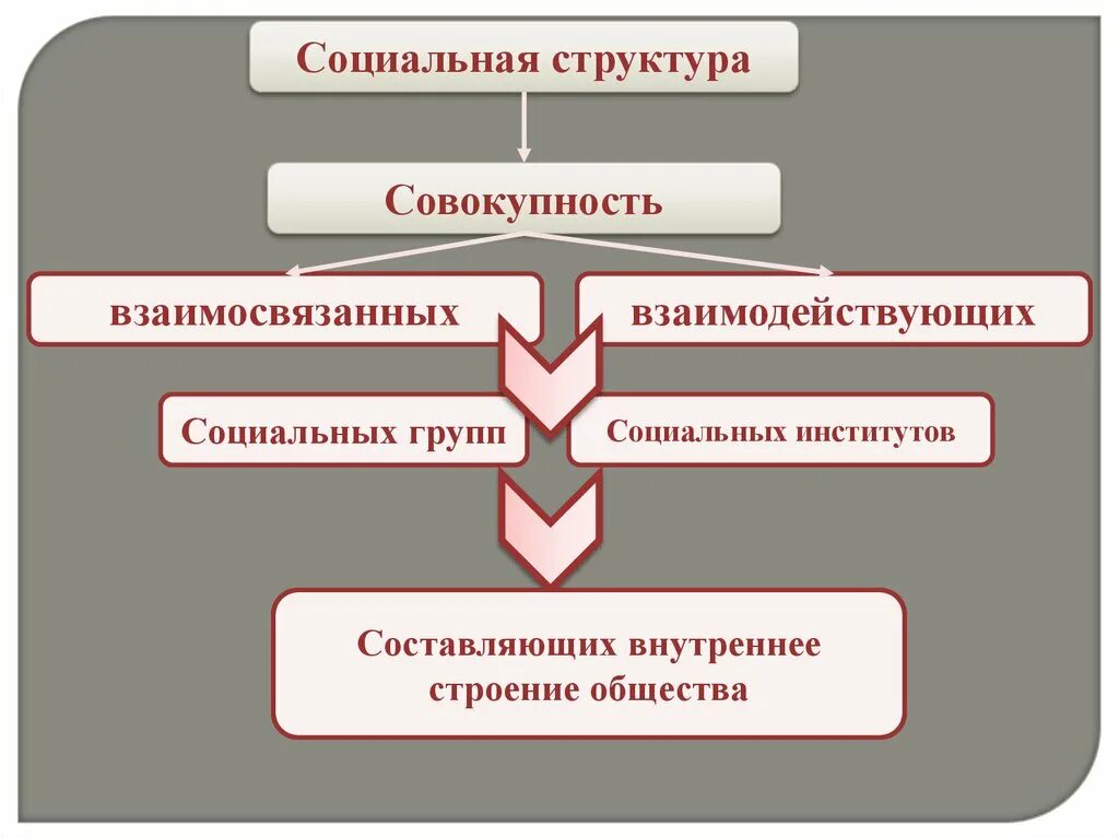 Социальная структура общества. Структура соц группы. Структура социального института. Структура общественных институтов.