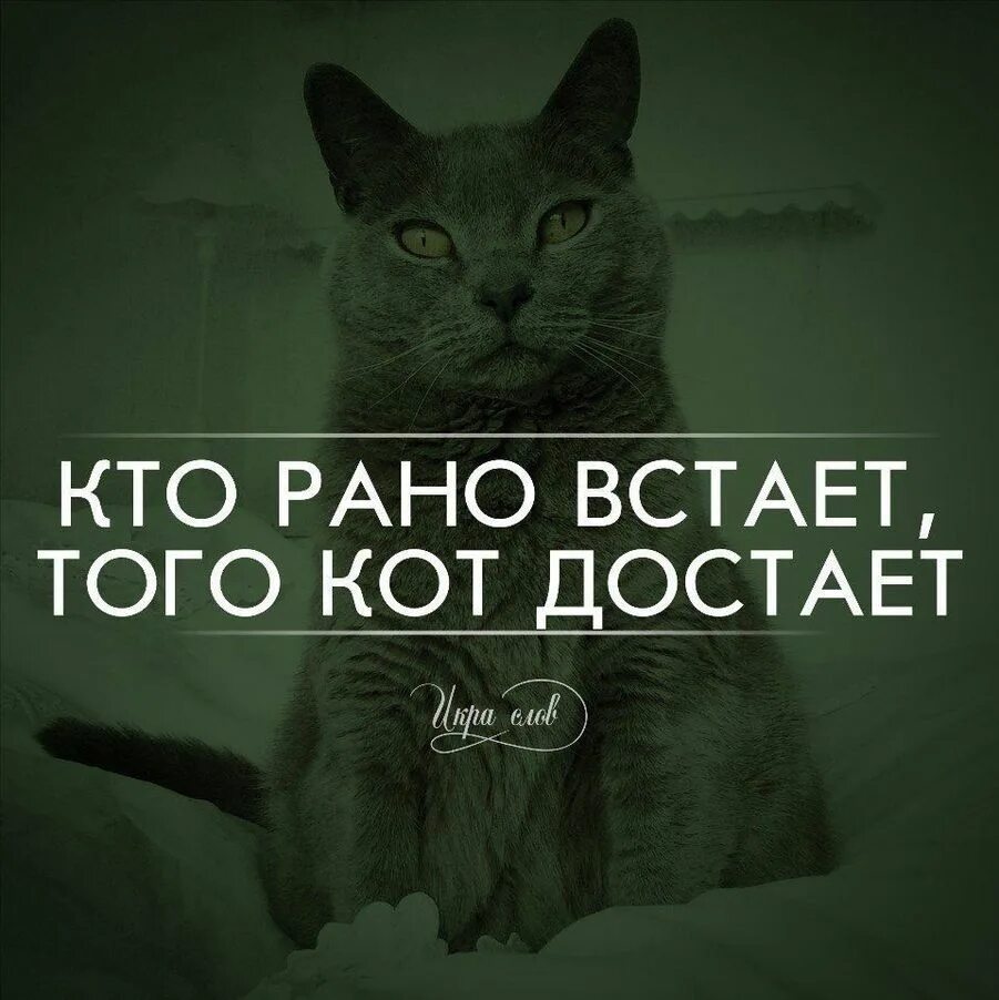 Туту прикол. Кто рано встает. Кто рано встаёт тому. Кто рано встает приколы. Кто ОАНО встаёт приколы.