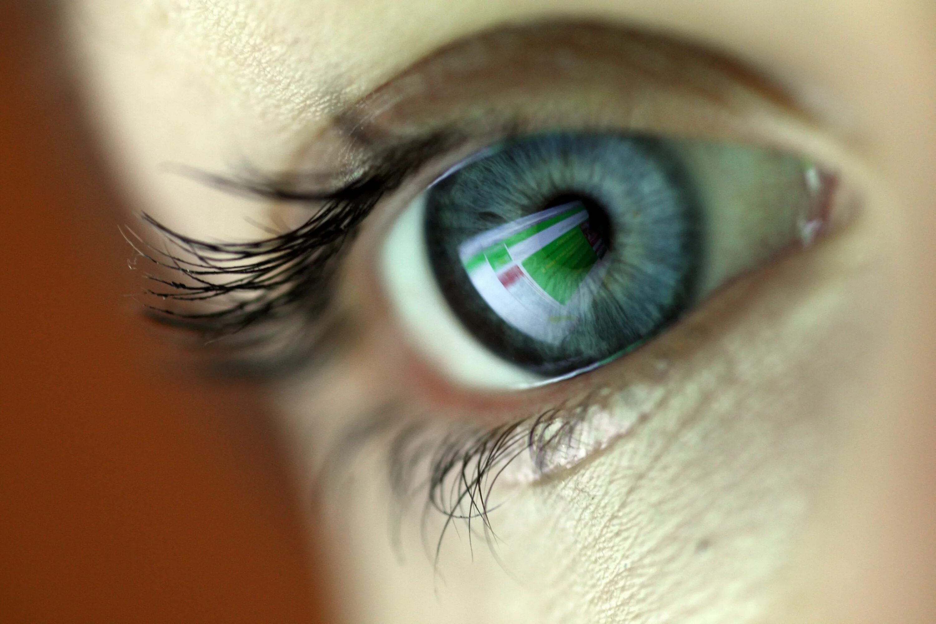 5 senses. Eye can hear you. Чарльза ушера. Компьютерные линзы для глаз. Раздаточный материал части тела на английском.