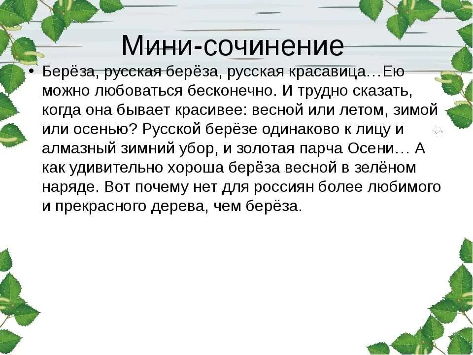 Описание дерева красиво. Сочинение про березу. Сочинение на тему береза. Сказка о Березе. Небольшой рассказ о Березе.