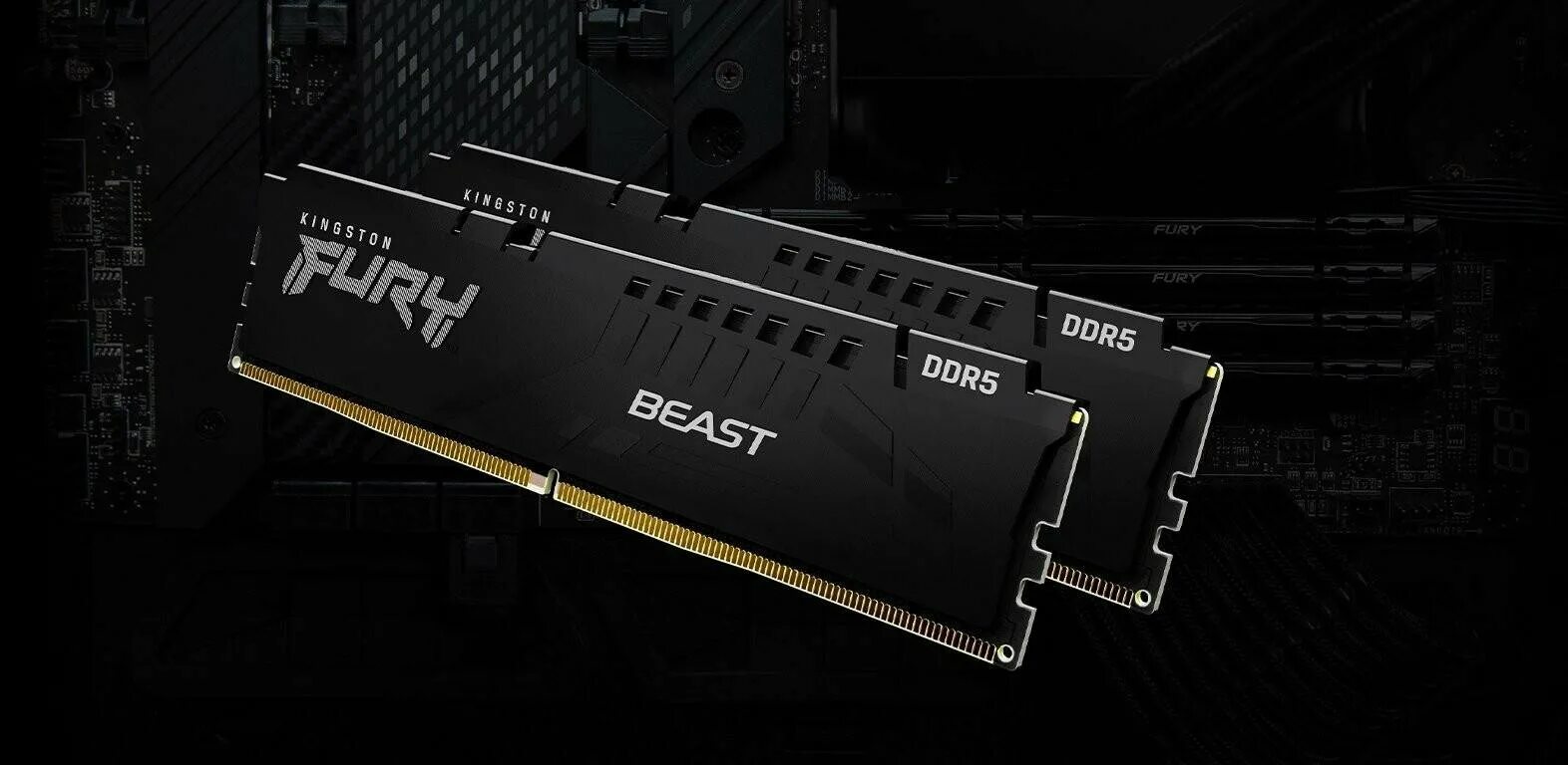 Kingston Fury Beast ddr5 16 GB. Kingston Fury Beast ddr4 2x16gb. Kingston Fury Beast ddr5 2x16gb. Kingston Fury Beast Black ddr5. Kingston fury ddr5 16gb