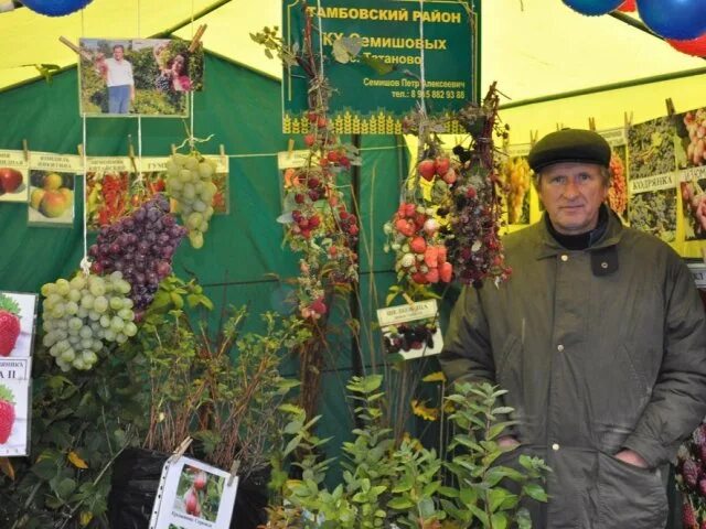 Питомник в никольском. Питомник в Никольском Белгородской. Питомник садовник. Питомник саженцев в Тамбове. Саженцы Семишов Тамбов.