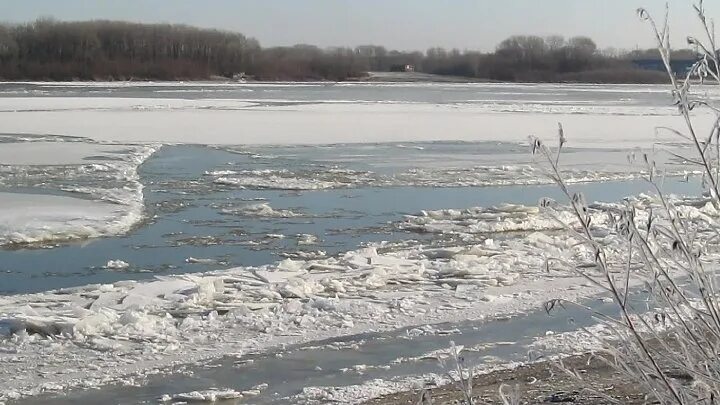 Ледоход на оби в томской области 2021. Когда ледостав на оби. Ледостав оби. Ледоход на реке обь. Ледостав оби.