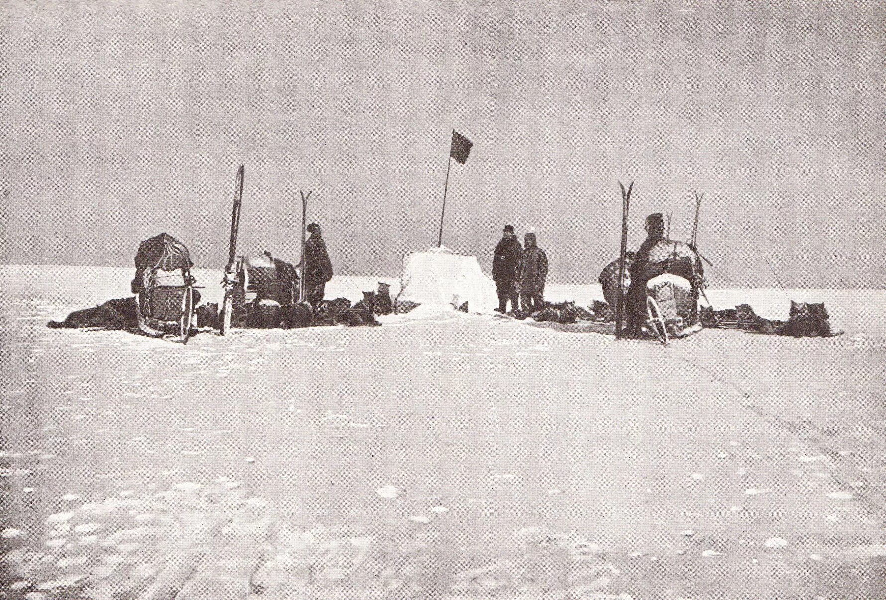 Руаль Амундсен 1911. Экспедиция Руаля Амундсена. Руаль Амундсен Южный полюс. Экспедиция Руаля Амундсена к Южному полюсу. Экспедиция википедия