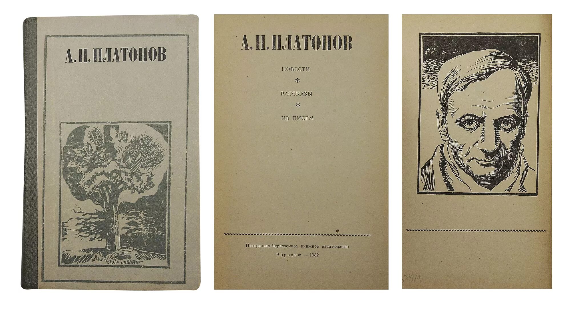 Первая книга стихов платонова