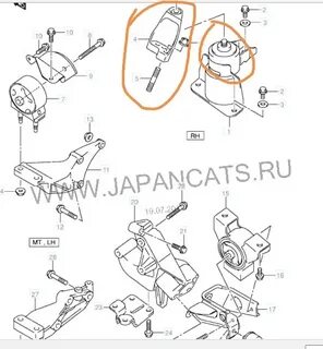 Japancats