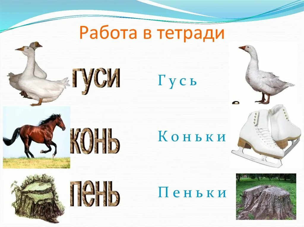 15 слов на ь. Слова с ь картинки. Птицы на конце мягкий знак. Слова с ь на конце картинки. Слова с буквой ь в конце.